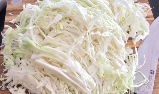 Sauerkraut 2025 Sauerkraut 2025