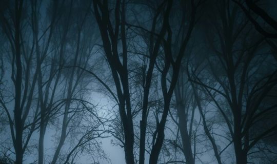 mystische Herbstnacht mystische Herbstnacht