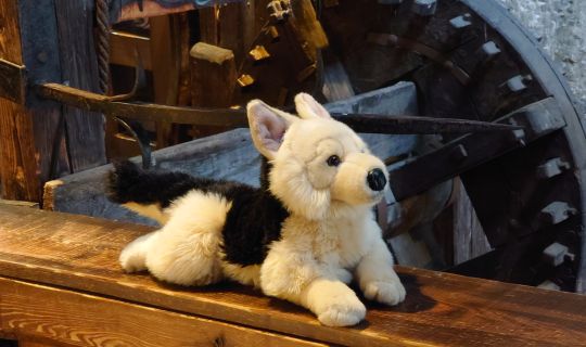 Hasso Schattenburgmuseum Familienfuehrung_Hasso_und_die_geheimnisvolle_Schattenburg_Schattenburgmuseum__c__Michaela_Doppelbauer_DSC_0248.JPG