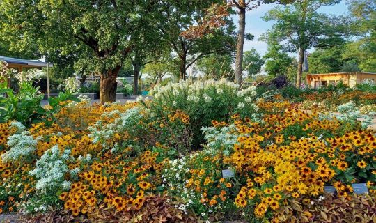 Landesgartenschau Landesgartenschau