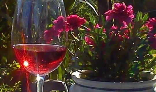 Ein Glas Wein und Blumen Ein Glas Wein und Blumen