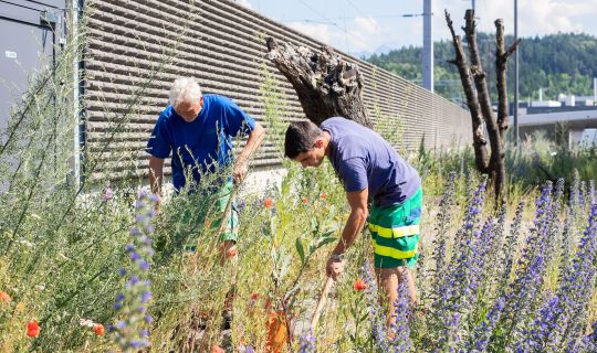 2019_06_17_e5_Gemeindefotos_Rankweil_FG_Markus_Gmeiner_CR_EIV 058.jpg 2019_06_17_e5_Gemeindefotos_Rankweil_FG_Markus_Gmeiner_CR_EIV 058.jpg