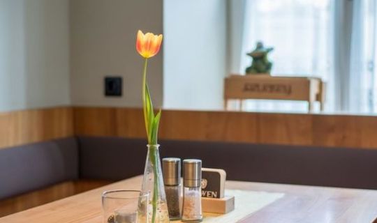 Löwen Tisis 02 Löwen Tisis 02