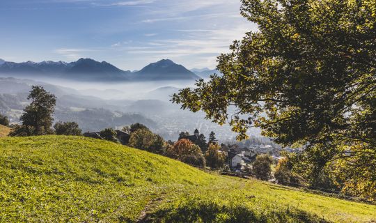 Aussicht Viktorsberg Aussicht Viktorsberg