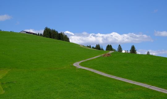 Wanderung Bödele zum Brüggele in Alberschwende Wanderung Bödele zum Brüggele in Alberschwende