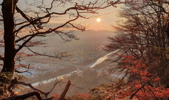 Aussichtsreiche Talwanderung vom PfÃ¤nder Ã¼ber den KÃ¤nzeleweg