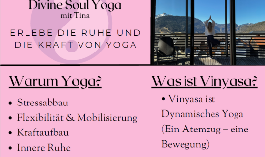 Vinyasa Yoga Vinyasa Yoga