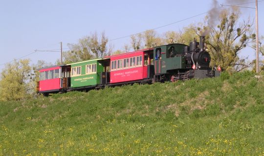Dampfbahn Damm