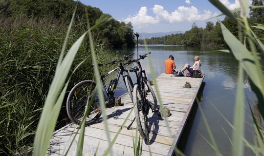E-Bike am Alten Rhein E-Bike am Alten Rhein