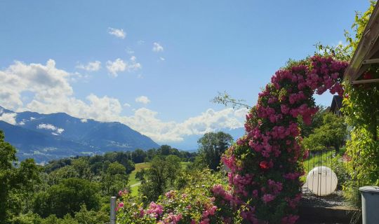 Ferienwohnung DÃ¼ns4