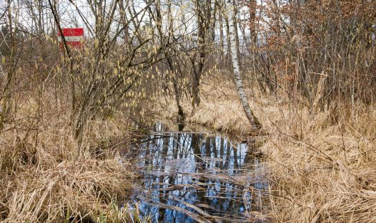 28a_Kanal_altes_Schwimmbad_CRwalser_2022 28a_Kanal_altes_Schwimmbad_CRwalser_2022