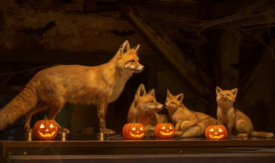 Gemeinsam im Museum â Halloween © KI generiert.jpg Gemeinsam im Museum â Halloween © KI generiert.jpg