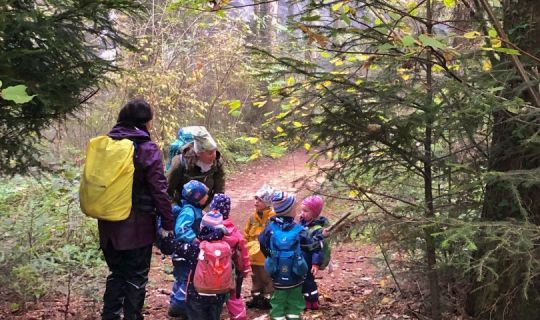 im Herbstwald im Herbstwald