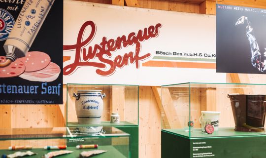 SENFEREI_AUSSTELLUNG_250520_076@A-Lamprecht