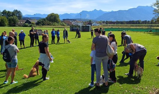 Eine Gruppe von Menschen auf einem Feld mit einem Hund Eine Gruppe von Menschen auf einem Feld mit einem Hund