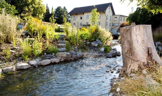 Naturnahe Gestaltung am Mühlbach Naturnahe Gestaltung am Mühlbach