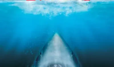 p_26239X27062025170720.webp