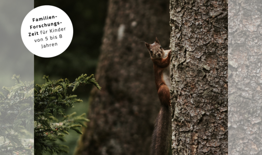csm_FamForschungsZeit_1b60275f1a.png csm_FamForschungsZeit_1b60275f1a.png