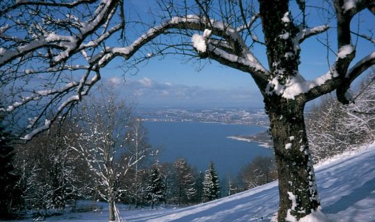 Ausblick vom Hintermoos Ausblick vom Hintermoos