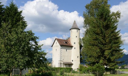Friedrich Böhringer - Wikimedia-Commons Textildruckmuseum Mittelweiherburg Hard