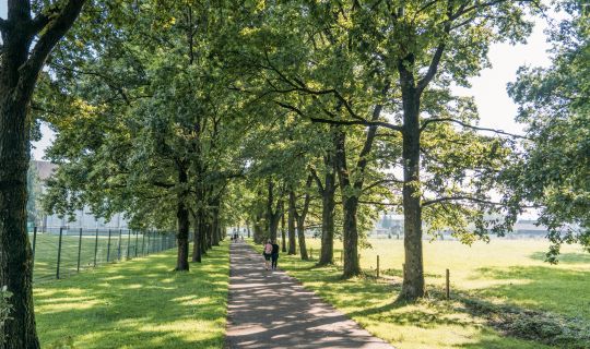 Kloster Mehrerau Bregenz Kloster Mehrerau Bregenz