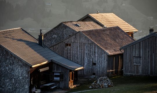 Hammeratsbergvorsäà in Schetteregg Hammeratsbergvorsäà in Schetteregg
