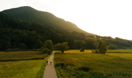 Fahrradfahrerinnen Abenstimmung Fahrradfahrerinnen Abenstimmung