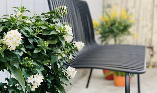 Casa Boho Apartment Hohenems