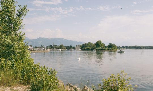 Hard Grüner Damm Hard Grüner Damm