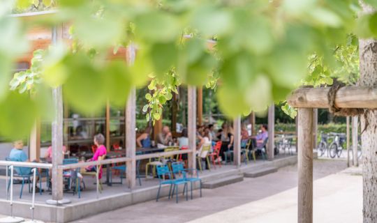 camping-dornbirn-sanitäranlagen-3191Restaurant Frischluft am Camping Dornbirn camping-dornbirn-sanitäranlagen-3191Restaurant Frischluft am Camping Dornbirn