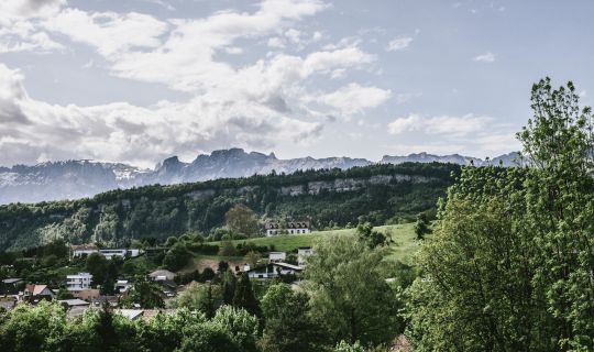 Blasenberg Feldkirch Frühling (c) Magdalena Türtscher - Stadtmarketing und Tourismus Feldkirch GmbH.jpg