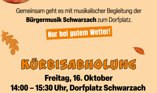 Kürbislauf 26 Kürbislauf 26