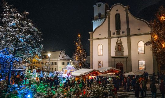 Einschaltfeier & Zauberwald