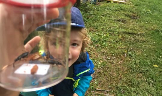 Out of the box _c inatura.jpg