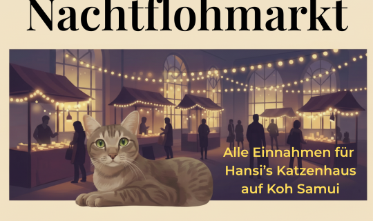 Hansi's Katzenhaus Thomas.Fehr.png