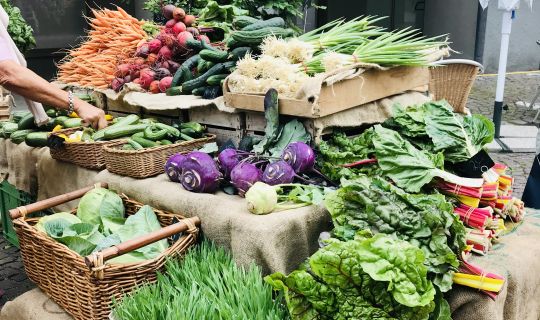 Wochenmarkt 2024@alexandrafrick01.jpg Wochenmarkt 2024@alexandrafrick01.jpg