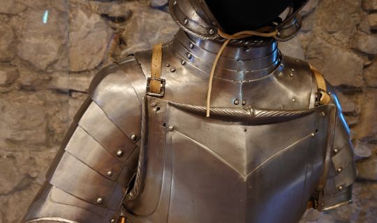 Ritter Schattenburg_fuer_Familien_Schattenburgmuseum__c__Michaela_Doppelbauer.jpg