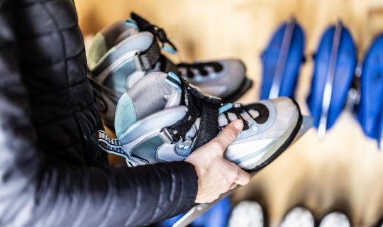 Ice Skating Ice Skating