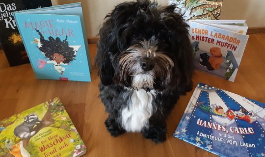 Bibliothekshund Flynn mit Büchern Bibliothekshund Flynn mit Büchern