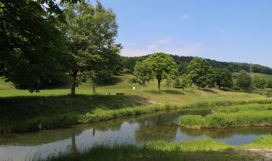 Rüthi Rüthi