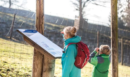 Pfänder Alpenwildpark Pfänder Alpenwildpark