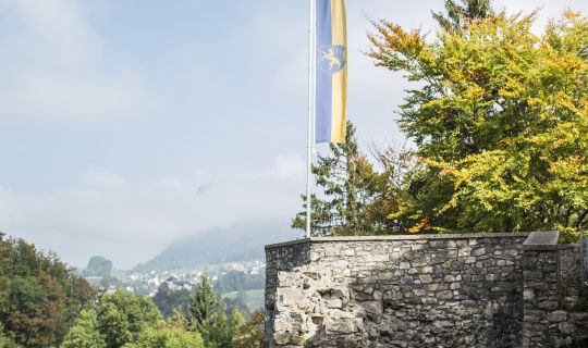 Ruine Alt-Ems, Hohenems Ruine Alt-Ems, Hohenems