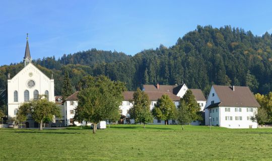 Friedrich Böhringer - Wikimedia-Commons Kloster Mariastern Hohenweiler Gwiggen