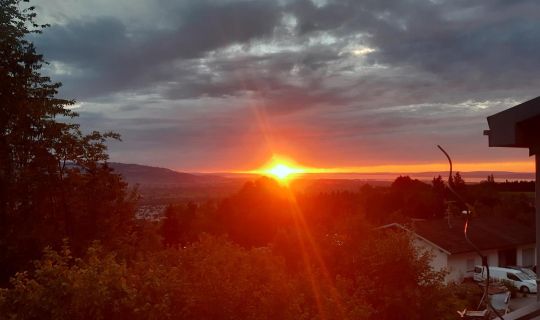 Ferienwohnung Bodenseeblick Ferienwohnung Bodenseeblick