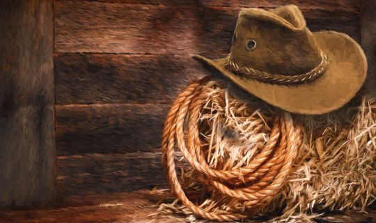 Western Western
