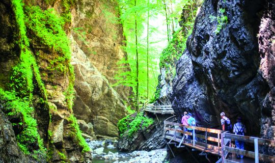 Rappenlochschlucht Rappenlochschlucht