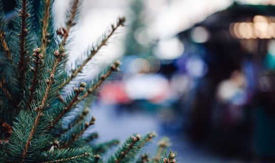 Feldkircher Weihnachtsmarkt 2016 Feldkircher Weihnachtsmarkt 2016