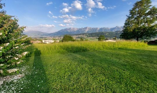 2025_Sommer Yoga Tisis.jpeg 2025_Sommer Yoga Tisis.jpeg