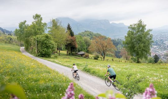 Gravelbike Dornbirn Gravelbike Dornbirn
