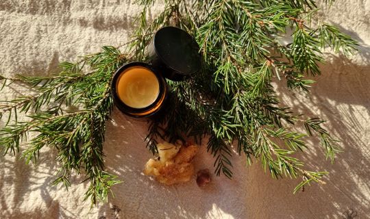 Waldapotheke Â© Stefanie Kaufmann.jpg